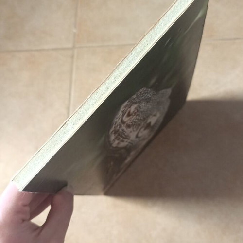 Art print on compressed wood used with print