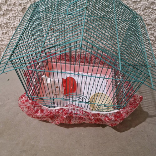 Birdcage for songbirds like new with all accessories