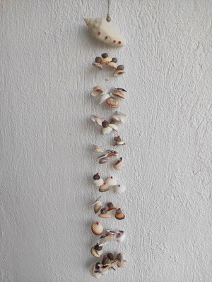 Dreamcatcher made of seashells new