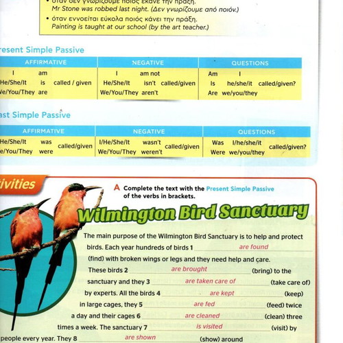 Portal to English Grammar 3 Teacher's Book new