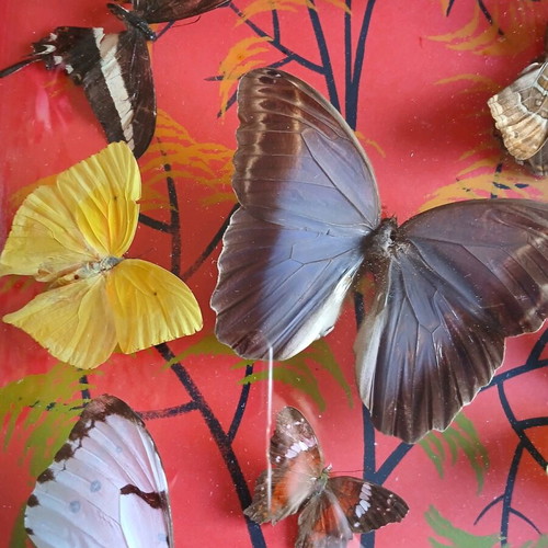 Vintage Brazilian framed butterflies like new