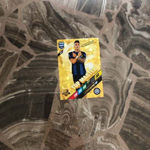 Martinez Panini Top Master collectible card new