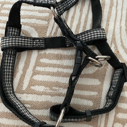 Pet Interest Dog Harness like new, medium size 12 kg