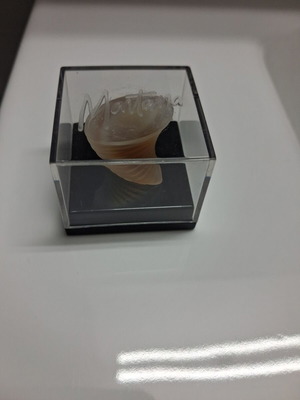 Άρωμα Montana μίνι Eau de Toilette καινούργιο 2 ml