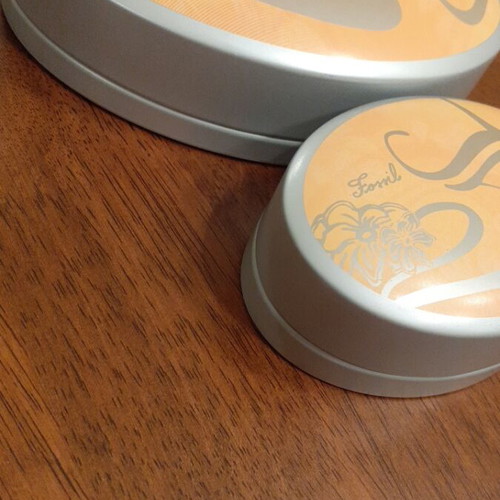 Fossil storage boxes like new, set of 2, Art Nouveau design