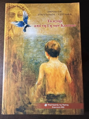 The Boy from the Land of the Cicones book like new, by Afroditi Tsetlaka-Evangelidou