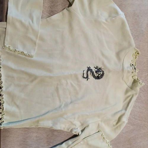 Tally Weijl S blouse with dragon print, turtleneck, like new