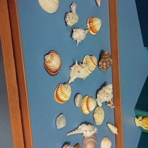 Sea decoration like new, all together