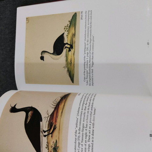 Dutch Brazil 3 volumes like new, animals birds and insects in box set