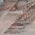 Cotton lace in brown beige shades new