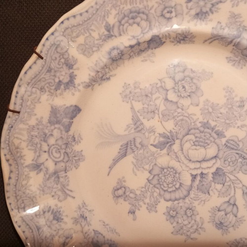 Ralph Hammersley & Sons Asiatic Pheasants plate vintage decorative, used