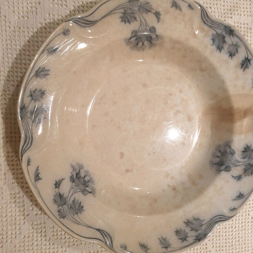 Vintage plates used, English porcelain Villeroy and Boch and Johnson Bros, blue