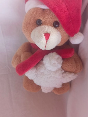 Plush teddy bear 20 cm like new with hat and pillow