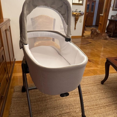 Peg Perego bassinet with stand like new