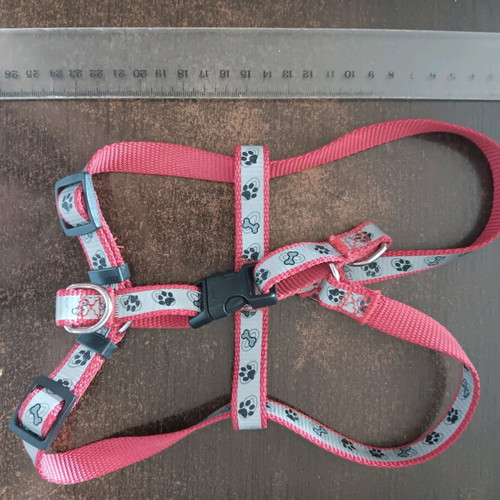 Dog leash and harness new, for small dogs