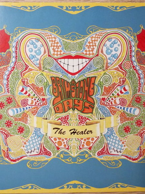 The Brimstone Days The Healer vinyl used, rock
