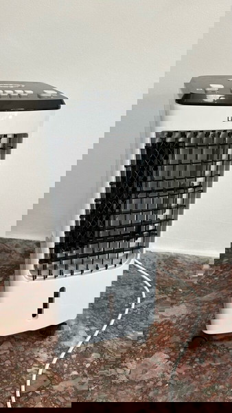 Air cooler