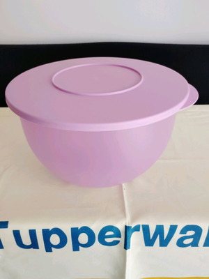 Expression large bowl 4.3 liters new with airtight lid