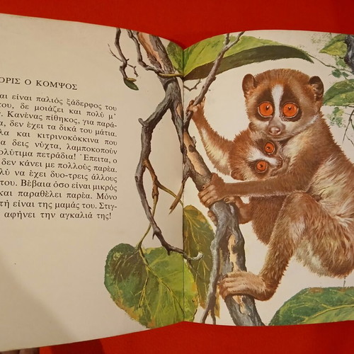 The World of Animals for Children 22 used, strange and unusual animals