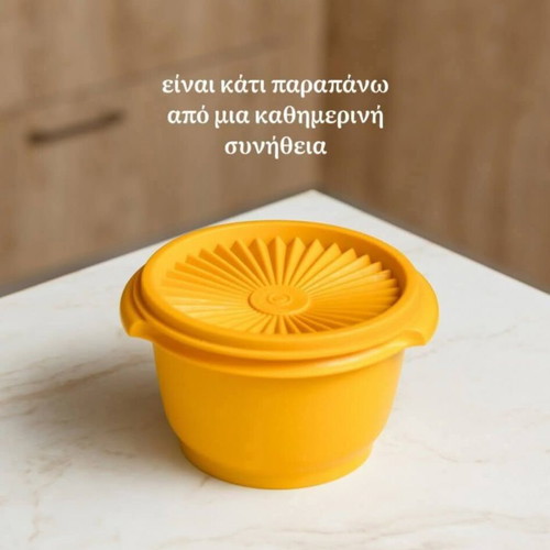 Tupperware vintage bowl set 4 pieces 340 ml ×2 800 ml ×2 new