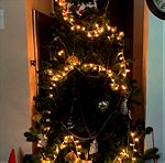 Χριστουγεννιάτικο δέντρο - έλατο