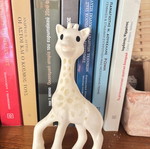 Giraffe toy figure