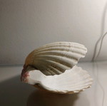 Decorative shell new, handmade with real shell
