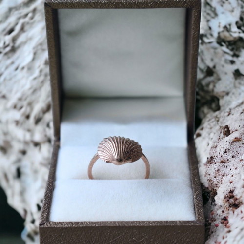 Shell Ring New Silver 925 Available In Three Colors