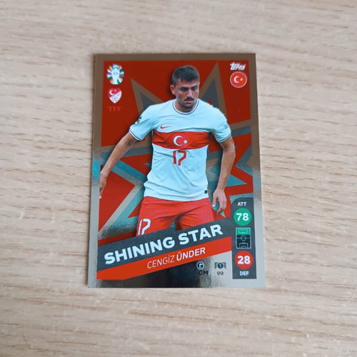 Shining Stars Lidl Card Collection Euro 2024 new