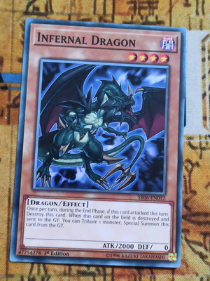 sogen yugioh card AMDE-EN019 - Stray Purrely Street - Rare - Field Spell