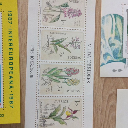 Fegie from various countries new, lot of 10 pieces