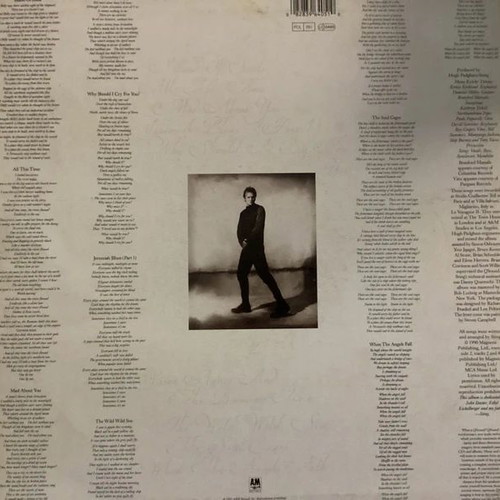 Sting The Soul Cages album used