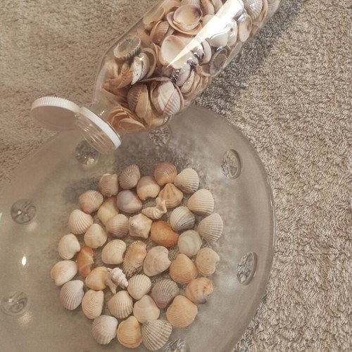 Bottle 0.5L filled with seashells for crafts
