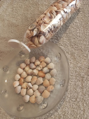 Bottle 0.5L filled with seashells for crafts