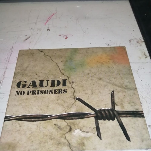 Gaudi No Prisoners CD like new, reggae electronic music