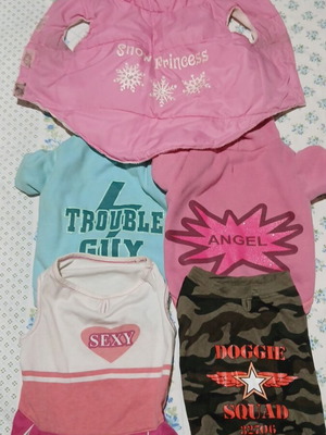Pet clothes used, pack of 5 for small dogs or cats