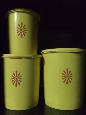 Tupperware set collectible new