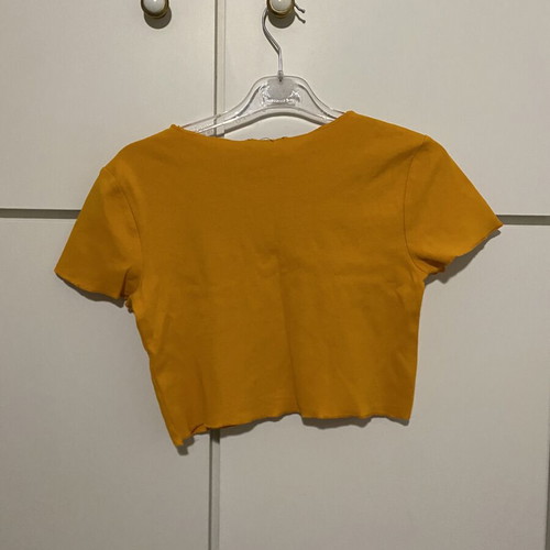 Zara summer orange crop top