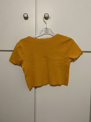 Zara summer orange crop top