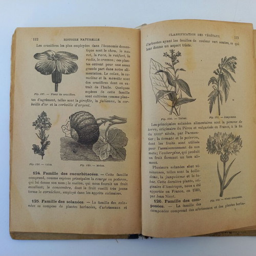 Premieres Notions de Sciences Physiques et Naturelles science book used 1901 French edition