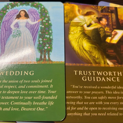 Daily Guidance From Your Angels Oracle Tarot Deck new, with guidebook