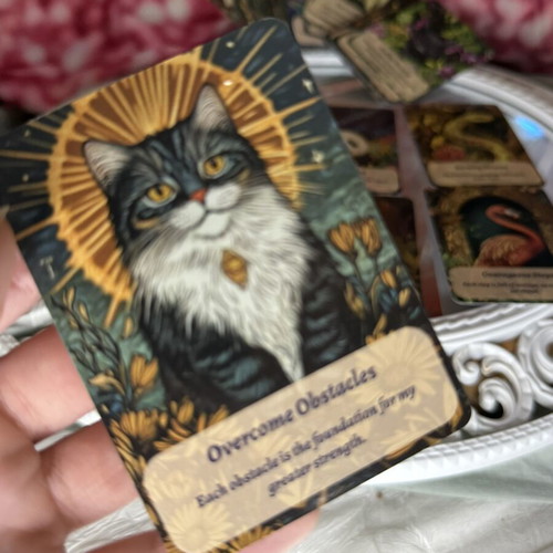 Inspirational Animal Oracle Cards like new, positive guidance deck