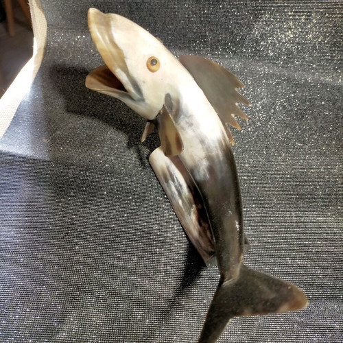 Decorative fish used