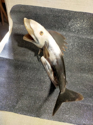 Decorative fish used