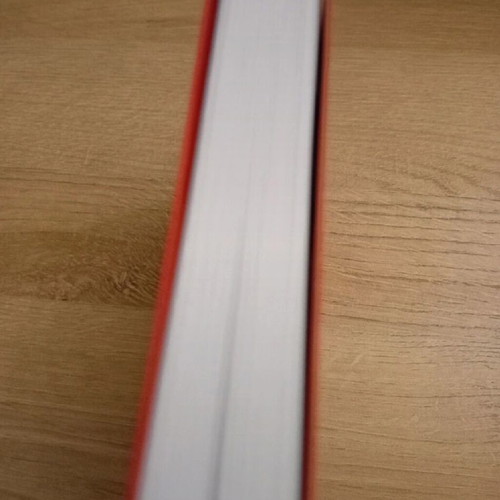 The Saint Gigolo book like new