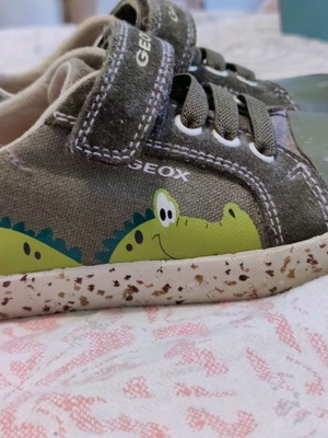 geox 26