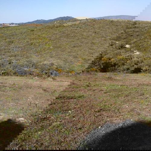 Αγροτεμάχιο 4483,5 τ.μ. οικοδομήσιμο στην Αμμουλιανή Χαλκιδικής