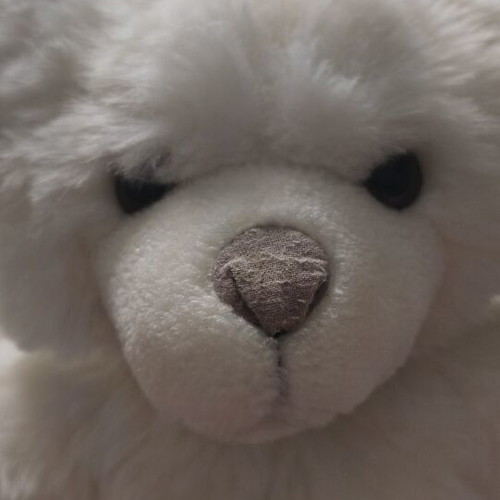 White plush teddy bear used, 30cm height, vintage style