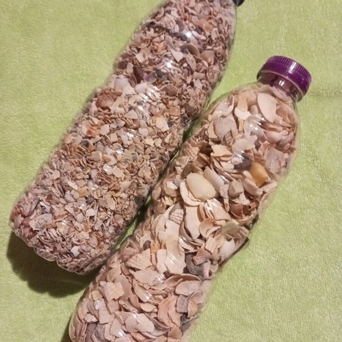 Natural Sea Mix for Crafts and Decoration like new