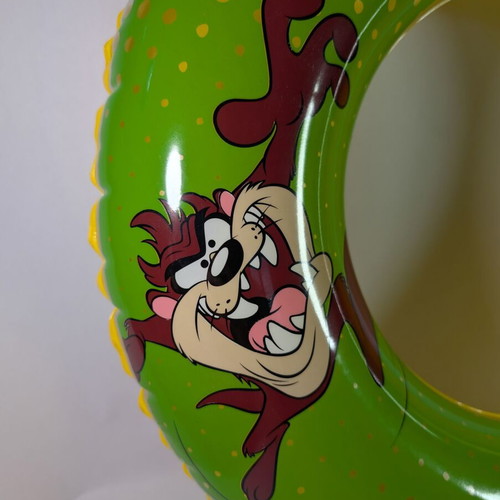 Looney Tunes Swimming Ring 56cm for Ages 3-6 like new